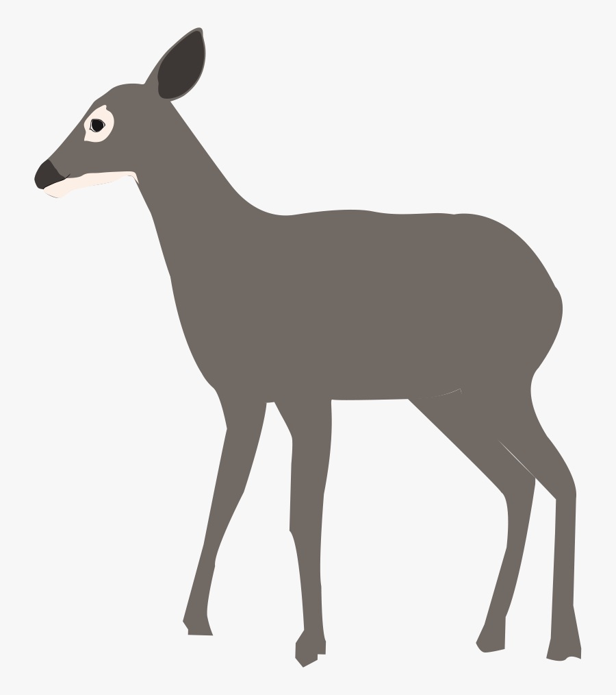 White-tailed Deer Elk Antelope Clip Art - Deer, Transparent Clipart