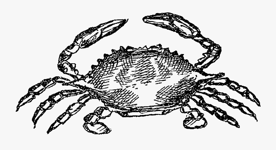 Crab Png Illustration, Transparent Clipart