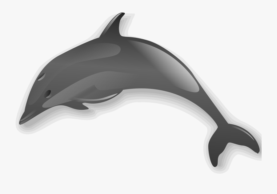 File - Dolphin - Clipart Dolphin With No Background, Transparent Clipart