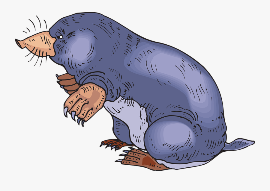 Ground, Standing, Animal, Claws, Blind, Furry, Mole - Clip Art Mole, Transparent Clipart