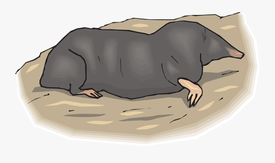Hole, Ground, Animal, Claws, Blind, Underground, Mole, Transparent Clipart