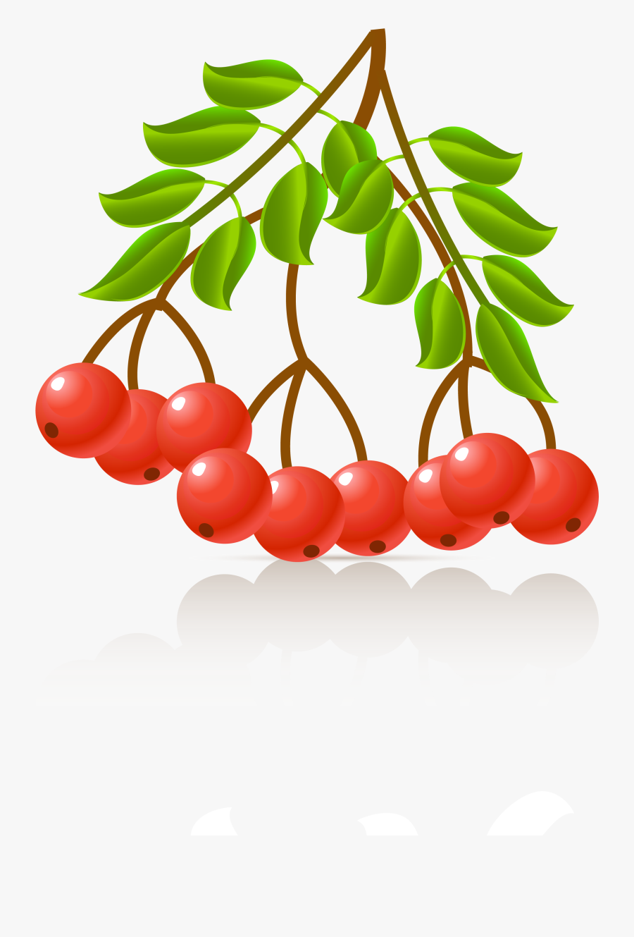 Plants, Transparent Clipart