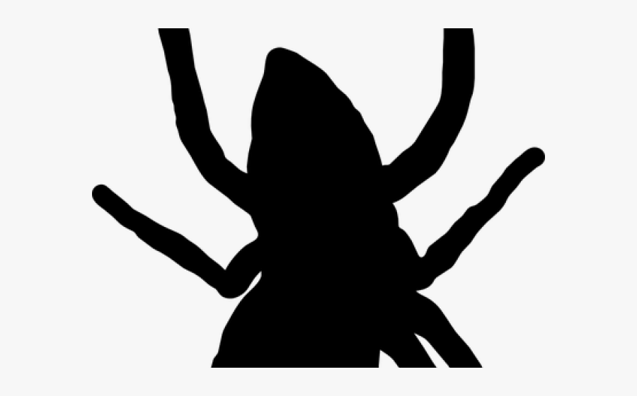 Spider Transparent Png Cartoon, Transparent Clipart