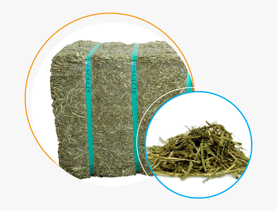 Packed In Bagged Small Bales Of 20 Kg, The Alfalfa - Hay, Transparent Clipart