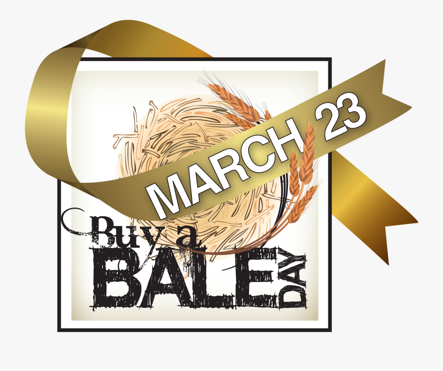 Flyer, Transparent Clipart