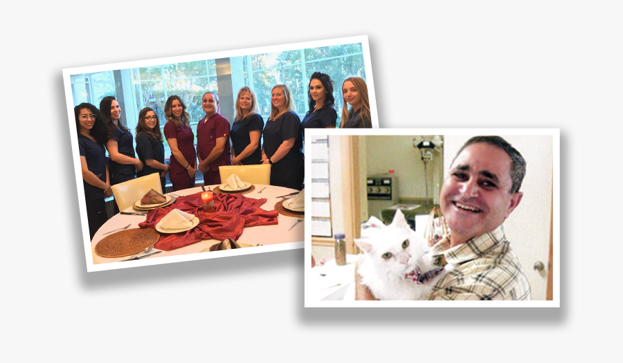 Meet Our Team - Red Kangaroo, Transparent Clipart