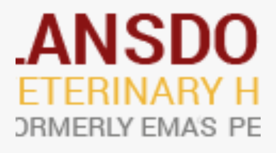 Orange, Transparent Clipart