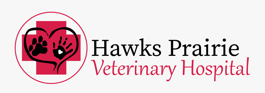 Hawks Prairie Veterinary Hospital - Oval, Transparent Clipart