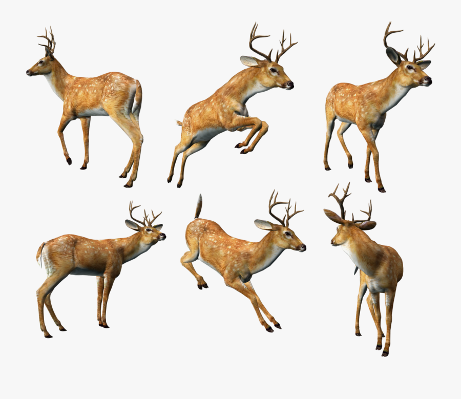 Veterinarians Clipart, Transparent Clipart