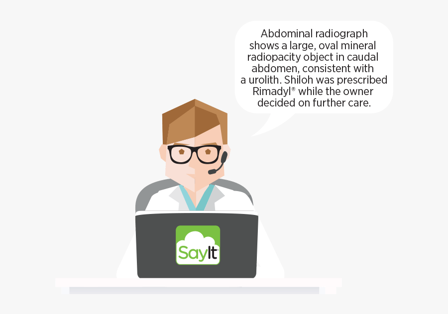 Veterinarians Clipart, Transparent Clipart