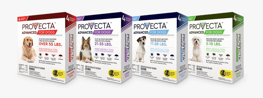 Provecta Veterinarians - Provecta Advanced For Dogs, Transparent Clipart