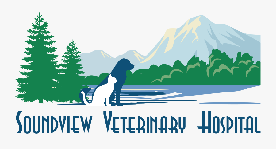 Soundview Veterinary Hospital - Transparent Pine Tree Clipart, Transparent Clipart