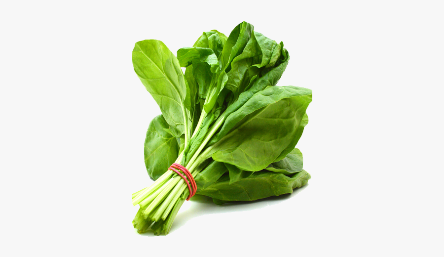 Spinach Png Free Download - Vegetable Spinach, Transparent Clipart