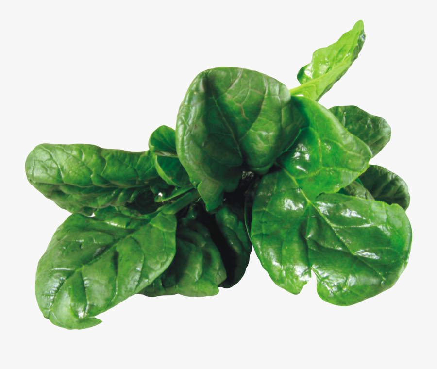 Spinach Png, Transparent Clipart