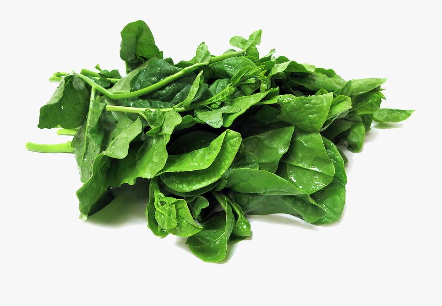 Spinach Transparent Png - Poi Saga, Transparent Clipart