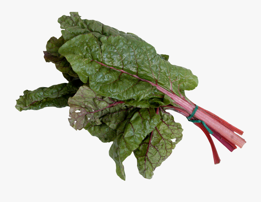 Mangold Or Swiss Chard - Mangold Png, Transparent Clipart