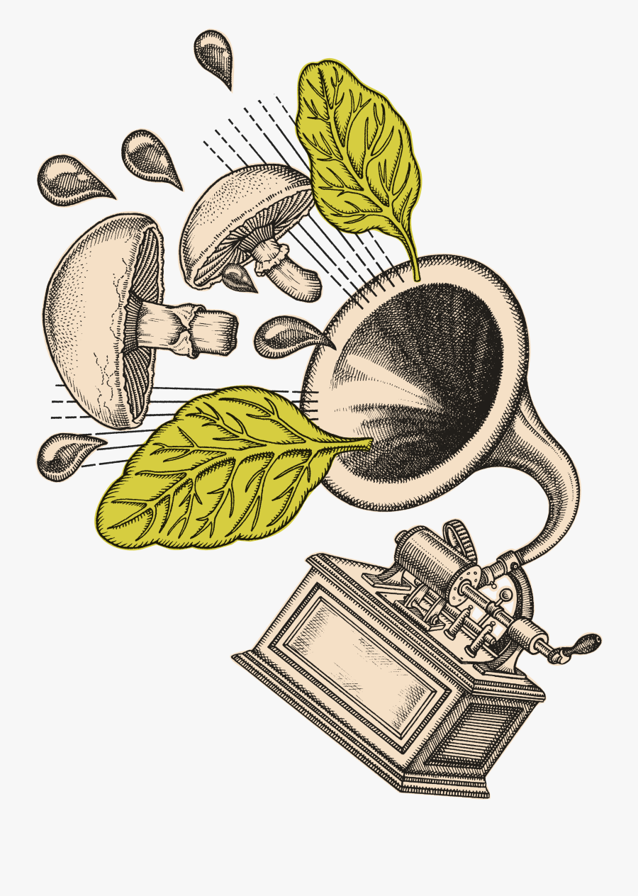 Spinach Clipart, Transparent Clipart