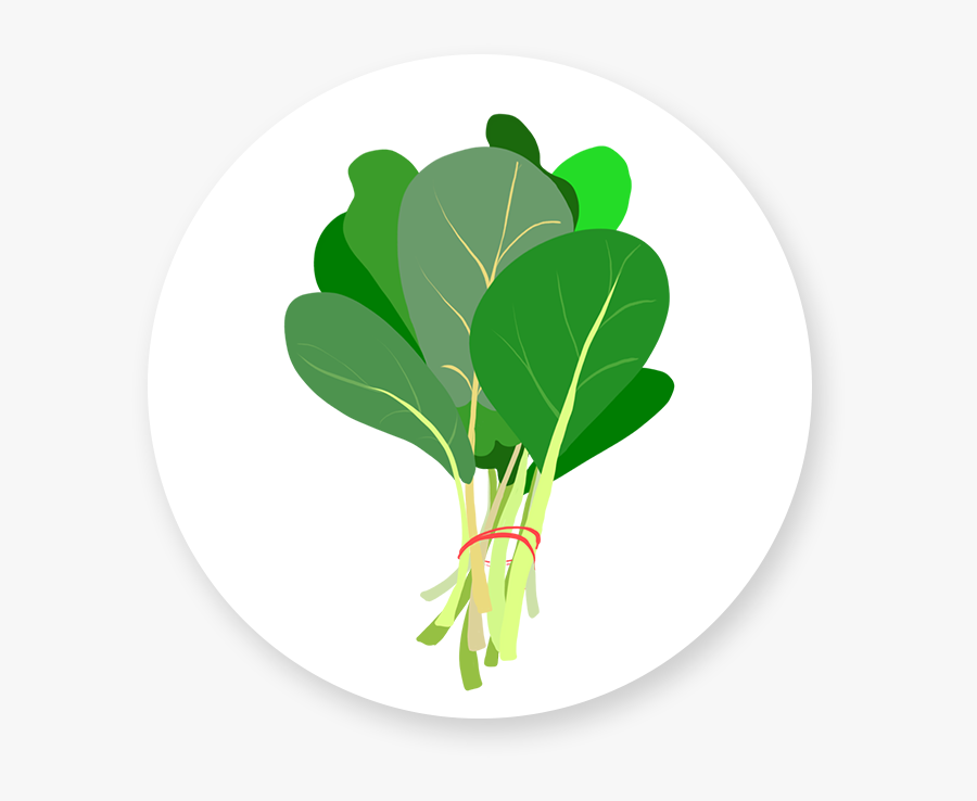 Spinach - Chard - Leafy Green Animated Nutrition Background, Transparent Clipart