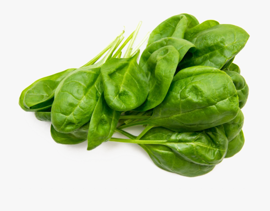 Spinach Png Free Image - Spinach Png, Transparent Clipart