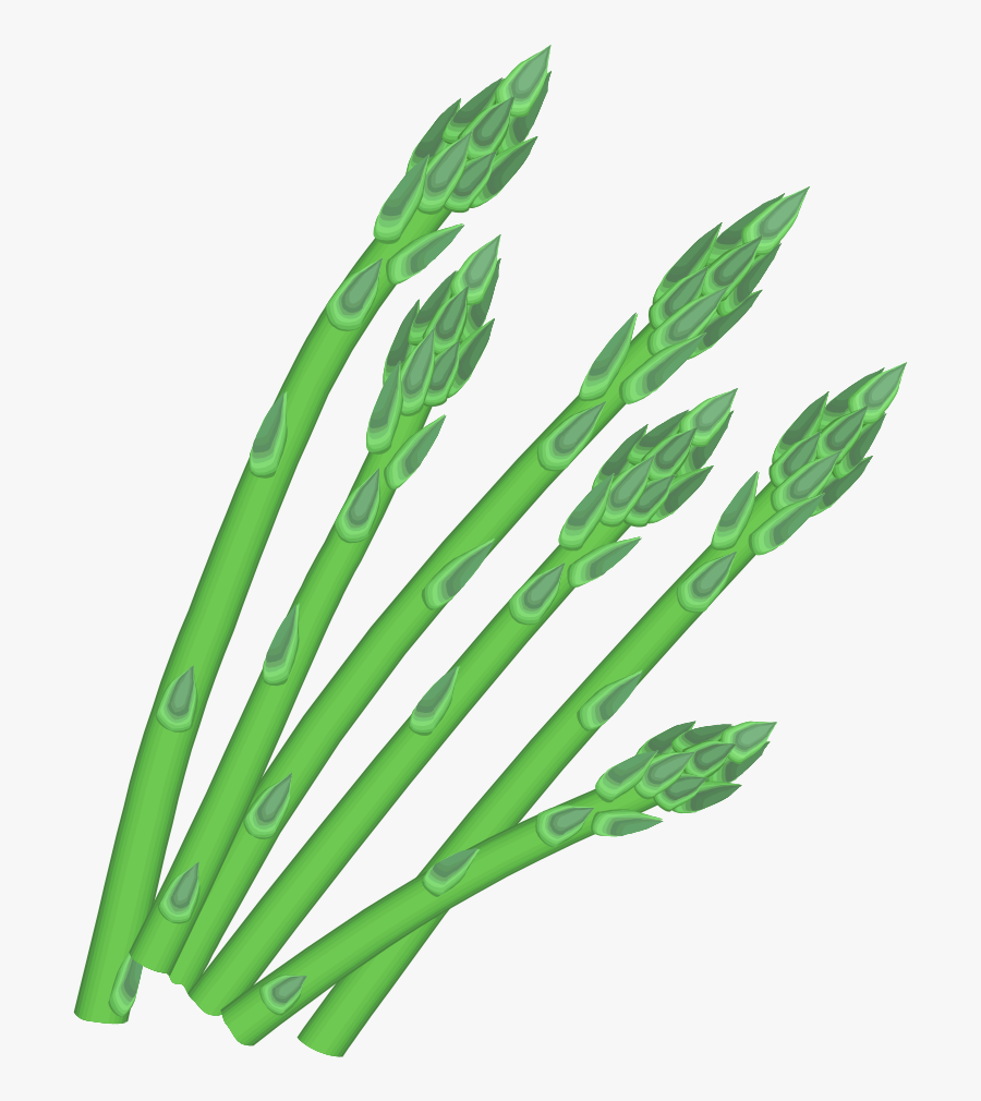 Asparagus - Asparagus Clipart Png, Transparent Clipart