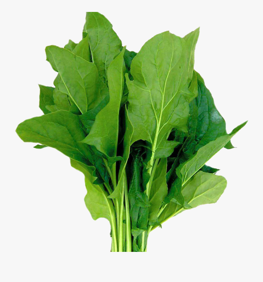 Spinach Png - Щавель Png, Transparent Clipart