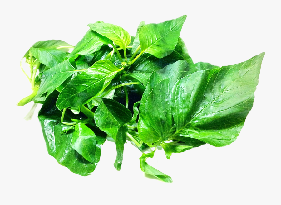 Vegetables Leaves Png, Transparent Clipart