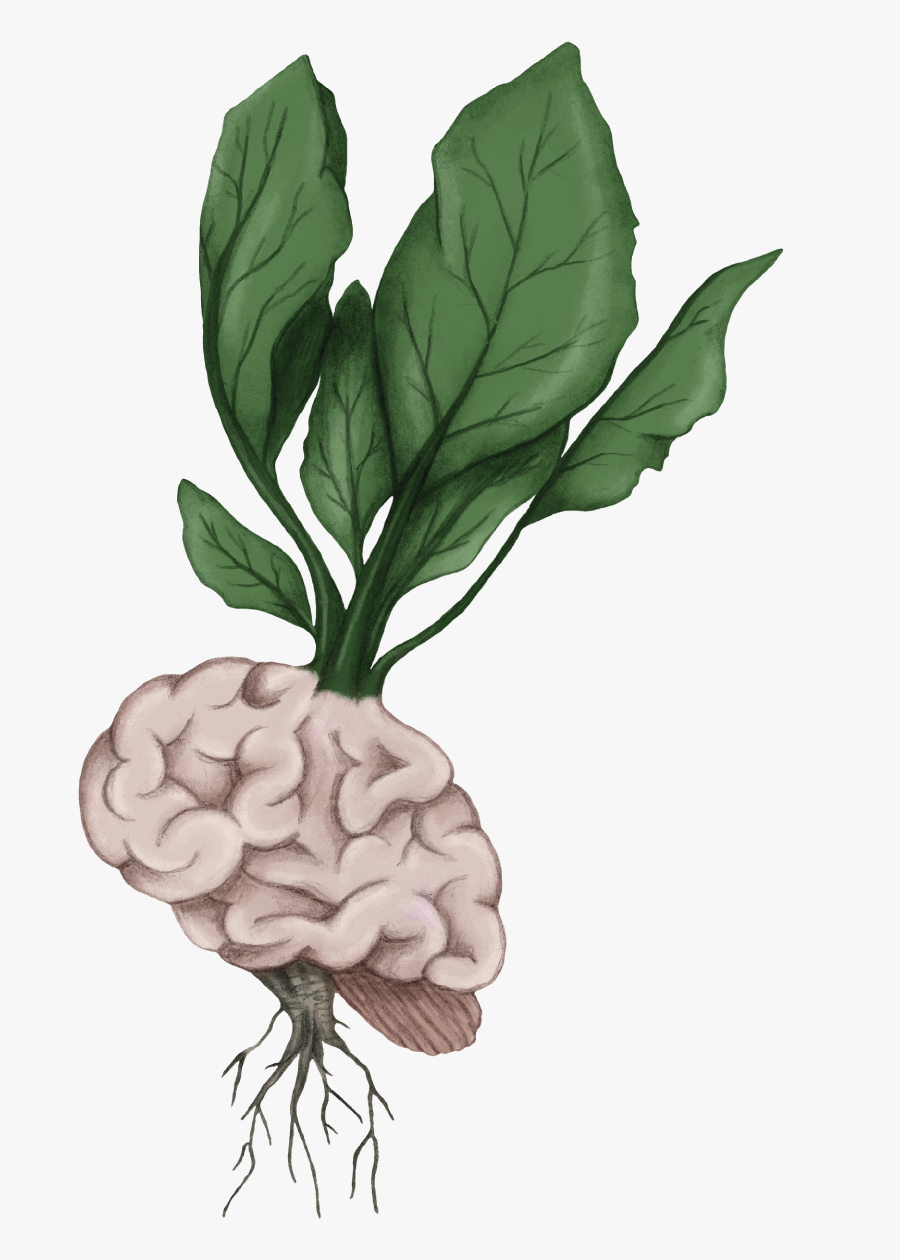 Brain Clipart Fried Rice - Illustration, Transparent Clipart