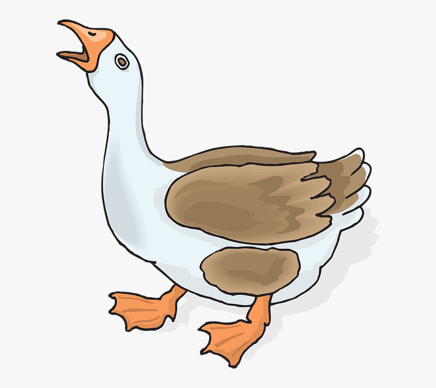 Feet, Wings, Loud, Goose, Feathers, Webbed, Squawking - Goose Clipart, Transparent Clipart