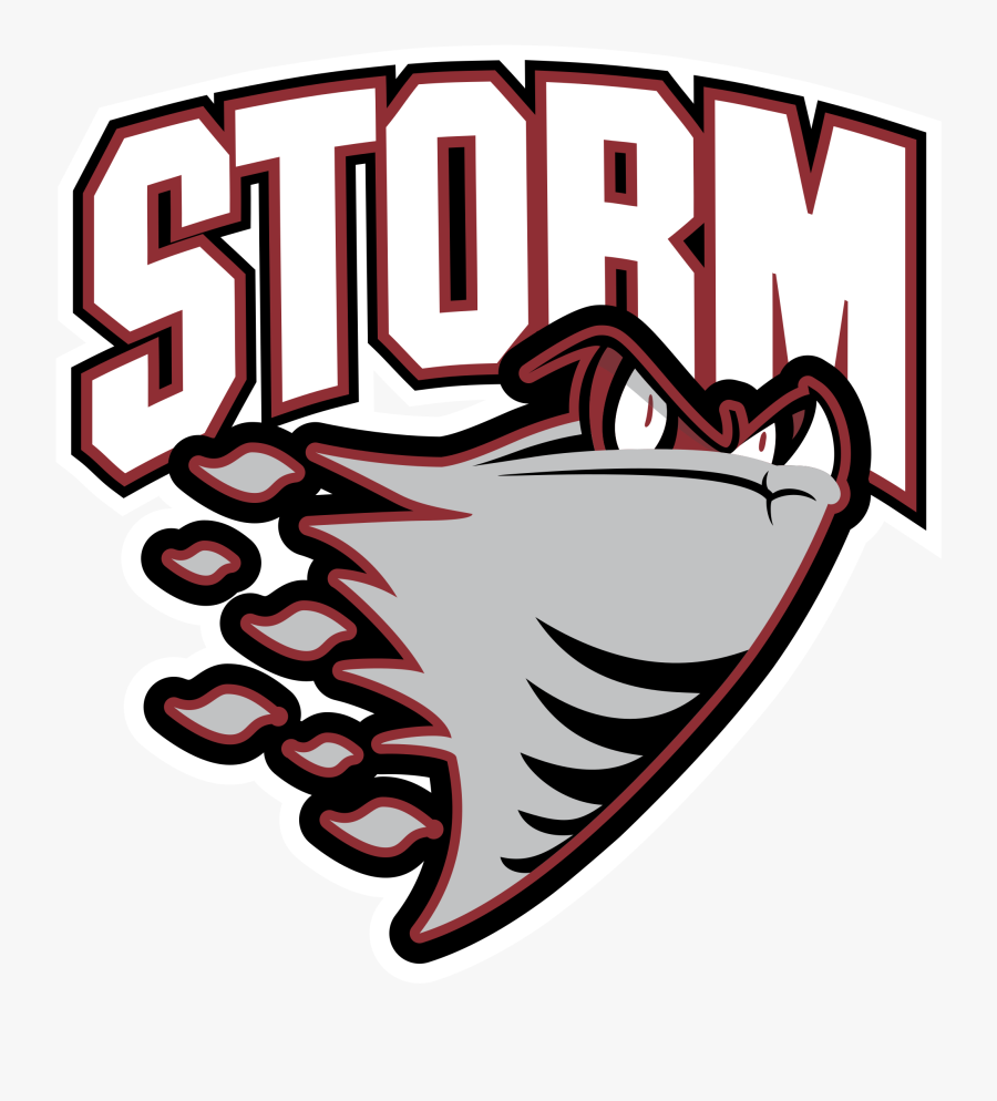 Msk Centre Is Proud To Provide Sports Medicine And - Guelph Storm Logo Png, Transparent Clipart
