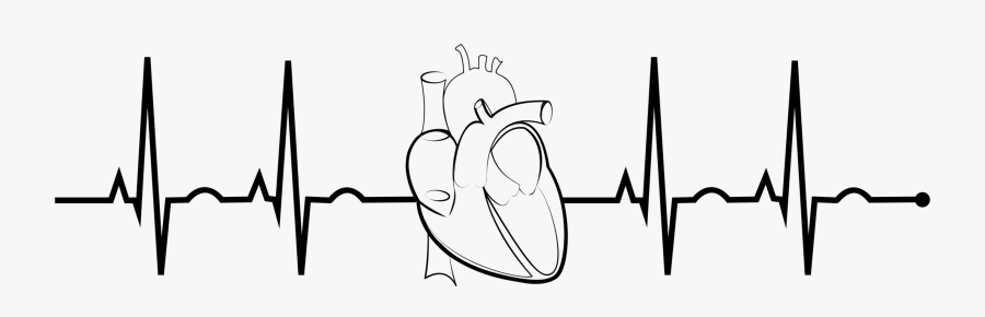 Line Art,angle,diagram - Heart Ekg Png, Transparent Clipart