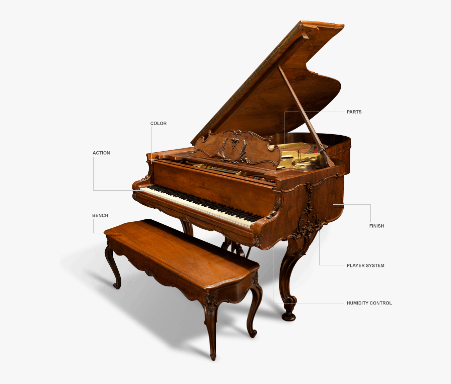 Transparent Grand Piano Clipart - Parts Of A Grand Piano, Transparent Clipart