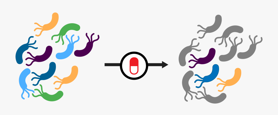 Antibiotic Resistant Bacteria Clipart, Transparent Clipart