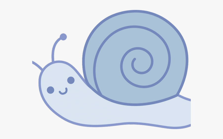 Snail Black And White, Transparent Clipart