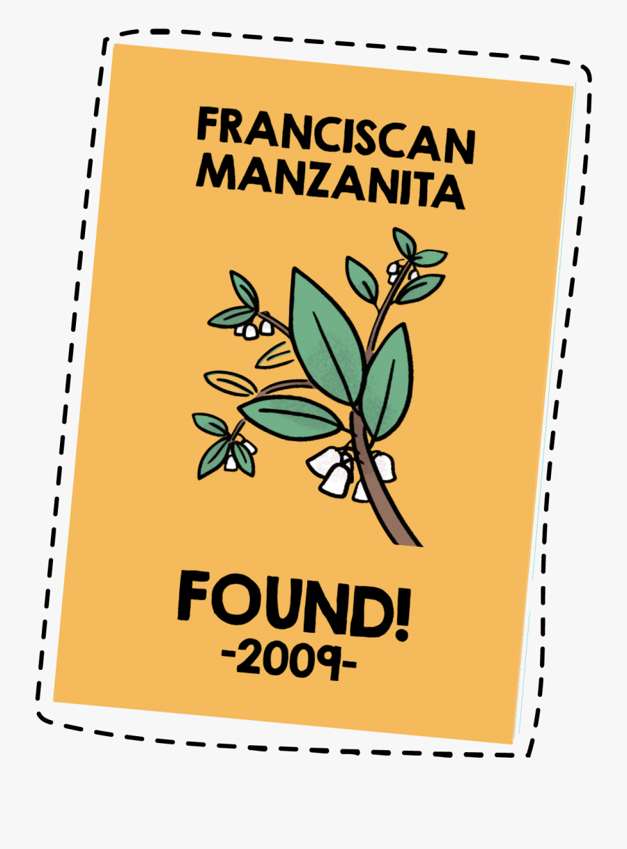 Transparent Ripped Piece Of Paper Png - Illustration, Transparent Clipart