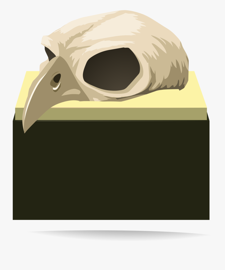 Firebog Rook Hall Skull Deco Clip Arts, Transparent Clipart