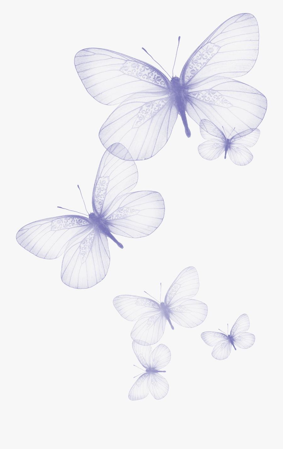 Butterfly Cliparts Transparent Dragonfly - Transparent Flying Butterfly Png, Transparent Clipart