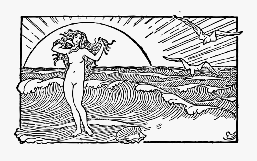 Venus And The Half Shell - Line Drawing Of The Ocean, Transparent Clipart