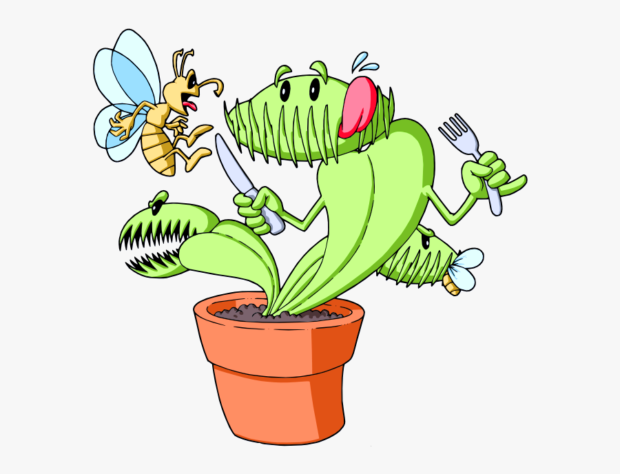Hello Our Names Are Priyanka And Panav - Beautiful Venus Fly Trap, Transparent Clipart