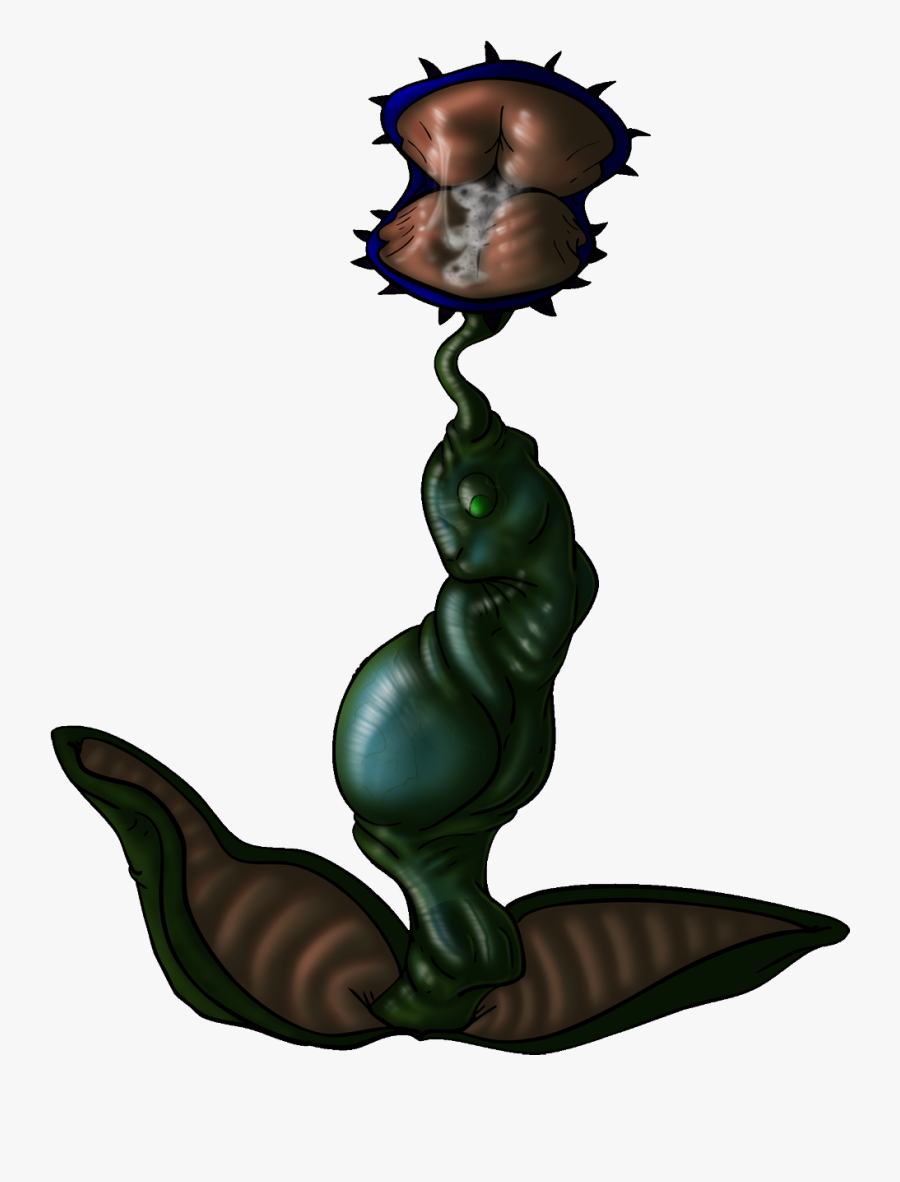 Venus Fly Trap Jade - Cartoon, Transparent Clipart