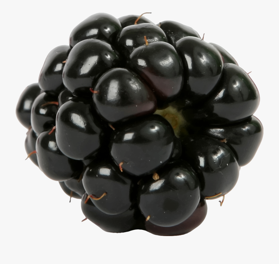 Blackberry Png - Berry, Transparent Clipart