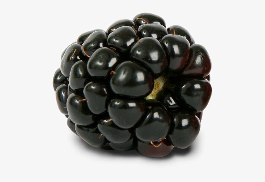 Blackberry Png - Blackberry Image Transparent Background, Transparent Clipart