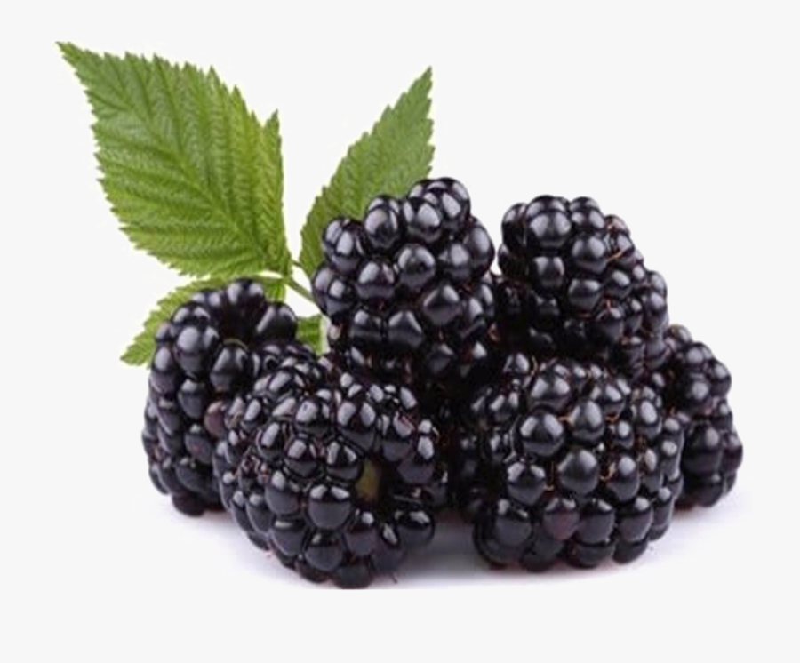 Blackberry Fruit Png Free Download - Blackberry Fruit, Transparent Clipart
