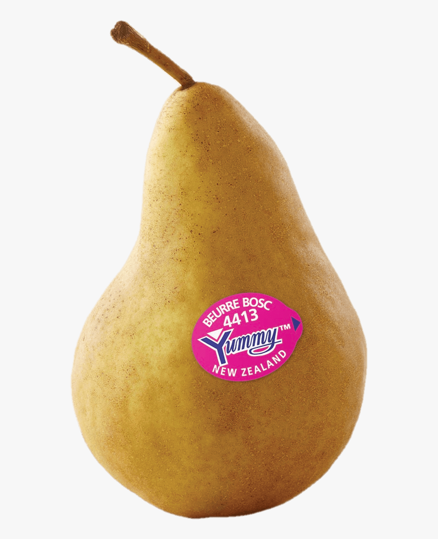 Transparent Pear Fruit Clipart - Asian Pear, Transparent Clipart