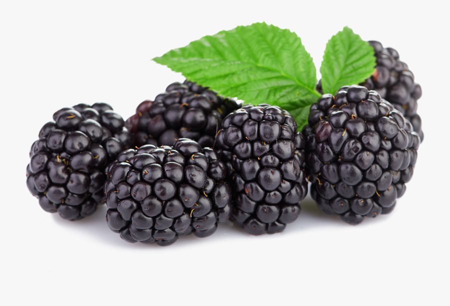 Blackberries Png, Transparent Clipart