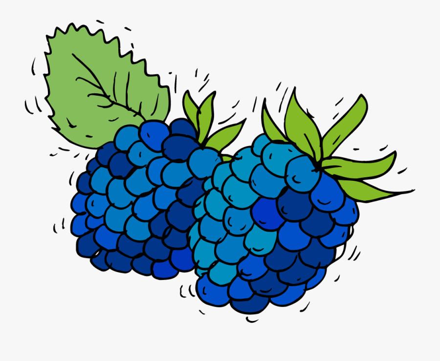 Seedless Fruit, Transparent Clipart