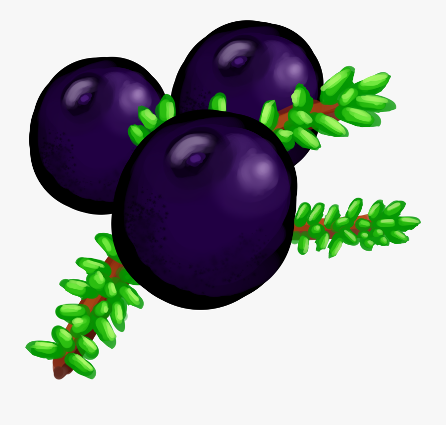 Huckleberry, Transparent Clipart