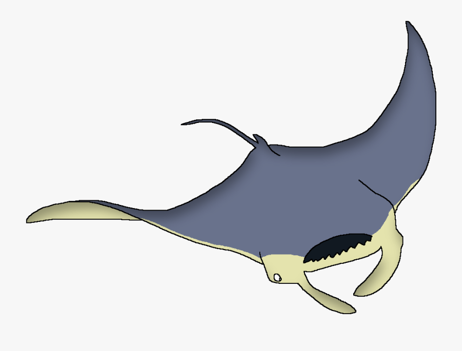 Wildlife Animal Pedia Wiki - Whale, Transparent Clipart