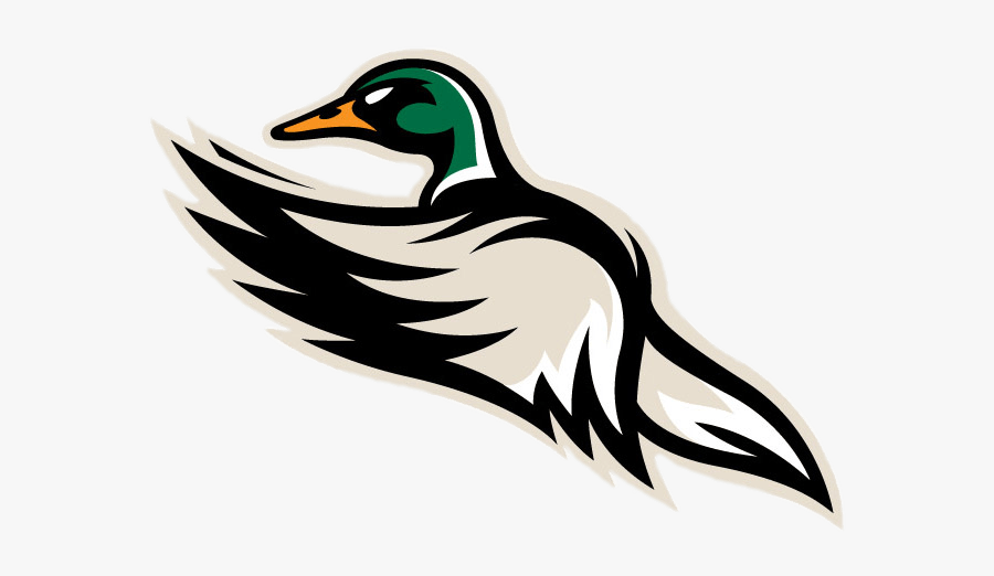Quad City Mallards Mascotte - Quad City Mallards Logo, Transparent Clipart