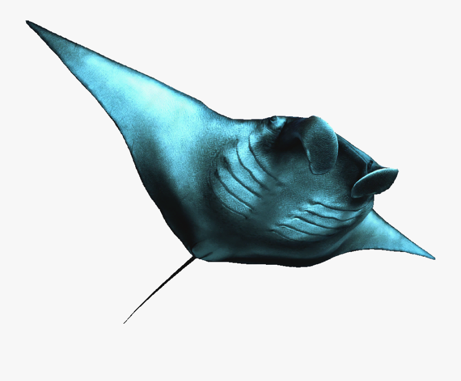 Art Stingray Ray Sealife Stickers - Manta Ray Png, Transparent Clipart