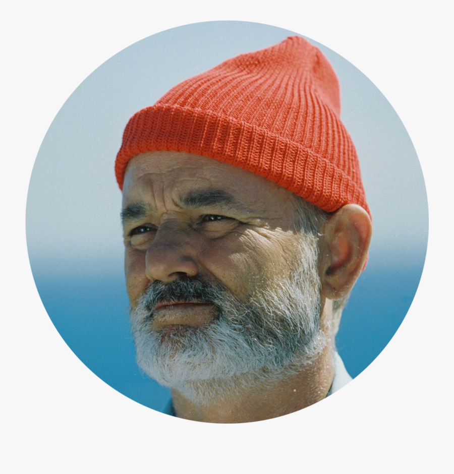 Director Life Aquatic Ganga Bill Murray Steve Clipart - Bill Murray Aquatic Life, Transparent Clipart